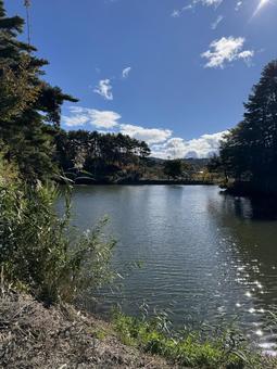晩秋の小坂田池（長野県塩尻市） 小坂田池,池,pondの写真素材