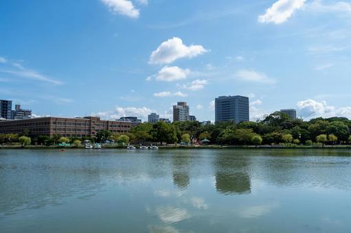 大濠公園の静かな湖面 大濠公園の静かな湖面 大濠公園,公園,博多の写真素材
