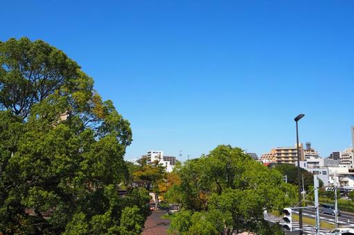 西葛西から見る東京スカイツリー・江戸川区 西葛西から見る東京スカイツリー・江戸川区 西葛西,東京スカイツリー,江戸川区の写真素材