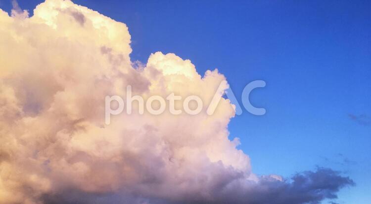 夕焼けを照り返す夏の雲 雲,夕焼け,青空の写真素材