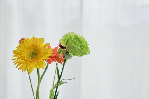 窓際の穏やかな光と綺麗な生花 背景,生花,花の写真素材