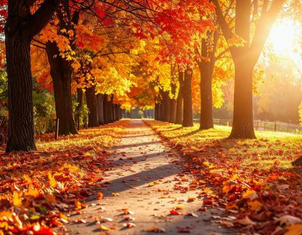 紅葉の並木道 紅葉の並木道の写真