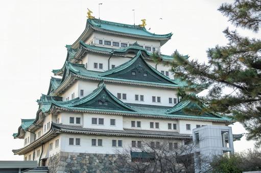 名古屋城の壮麗な天守（愛知） 名古屋城,城,天守閣の写真素材