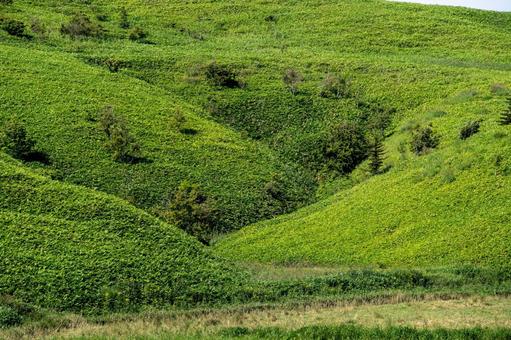 連なる丘陵地帯に広がる緑の草原 連なる丘陵地帯に広がる緑の草原 丘,青空,草原の写真素材