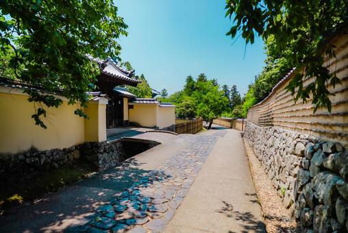 【奈良】奈良のお寺巡り 2025 【奈良】奈良のお寺巡り 2025の写真