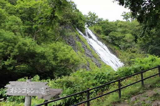 オシンコシンの滝1 オシンコシンの滝,滝,日本の滝百選の写真素材