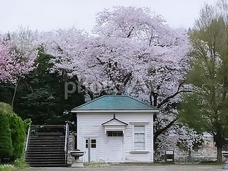 旧小坂鉱山事務所とその周辺12 小坂鉱山病院記念棟,霊安施設,登録有形文化財の写真素材