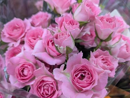 薔薇 薔薇の写真
