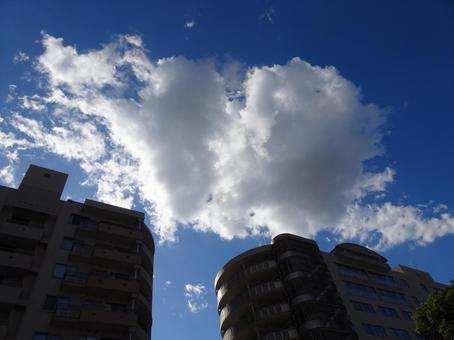 十一月の雲-67 十一月の雲-67の写真