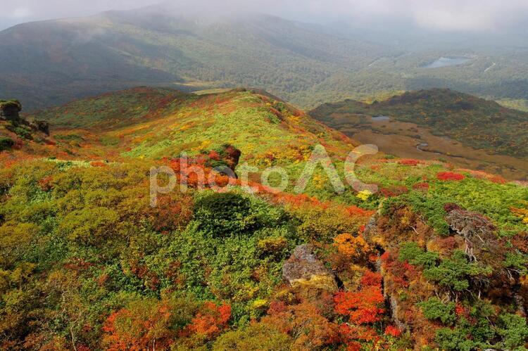 栗駒山８ 紅葉,もみじ,紅の写真素材