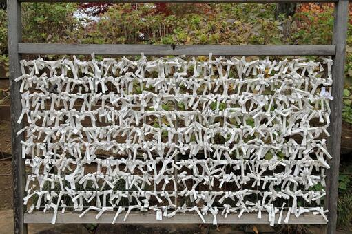 お寺の境内に結ばれたたくさんのおみくじ おみくじ,くじ,運勢の写真素材