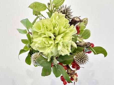 照片, 背景资料, 背景, 美丽, 