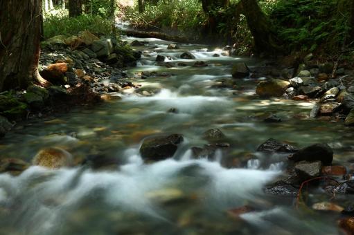 Photo, summer, summer mountain, river flow, 
