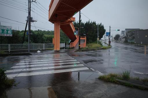 雨の横断歩道と歩道橋 雨,水たまり,横断歩道の写真素材