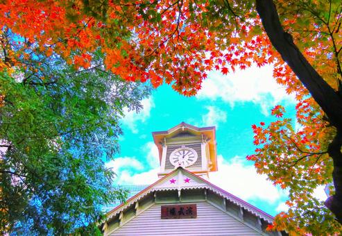 札幌市時計台　紅葉 時計台,建物,木造の写真素材