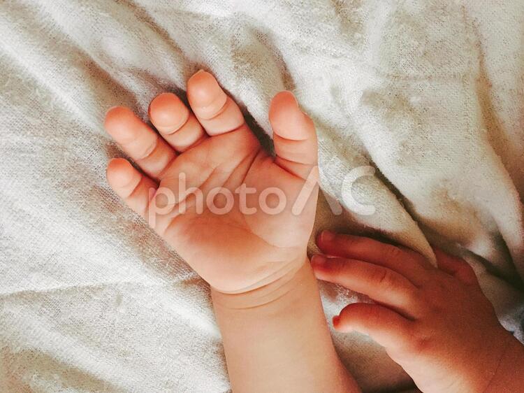 1歳1ヶ月の子供の手 手,子供,幼児の写真素材