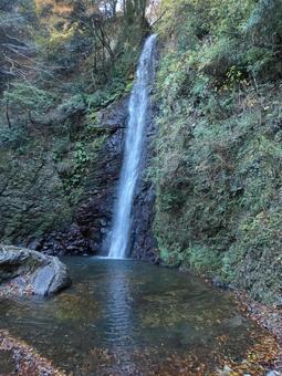 岐阜県-養老の滝 養老の滝,滝,日本の滝百選の写真素材