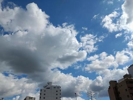 白とグレーの雲 白とグレーの雲の写真