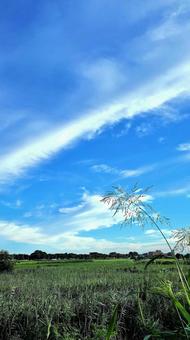 ひこうき雲の写真