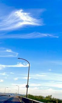 秋の空 秋の空の写真
