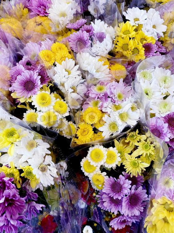 供花 供花,生花,手向けの写真素材