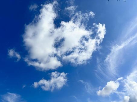【風景写真】夏空 【風景写真】夏空の写真