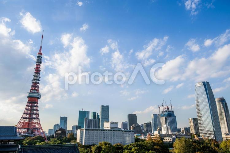 タイトルスペースの余白がある青空と東京タワー 東京タワー,青空,スペースの写真素材