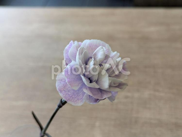 駅蕎麦店のテーブルに飾られた小さな花 花,クローズアップ,一輪挿しの写真素材