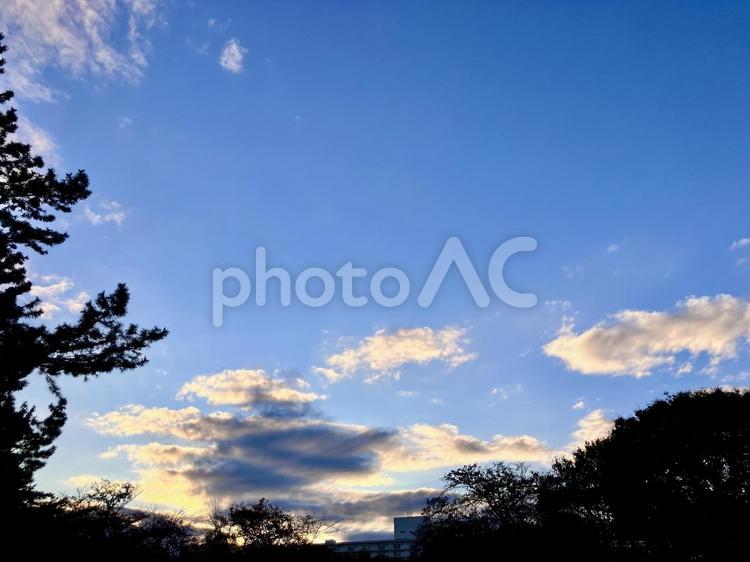 暮れゆく空と雲と木々 空,自然,木の写真素材