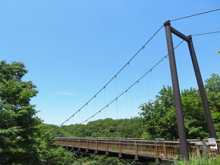 吊り橋 吊橋,橋,青空の写真素材