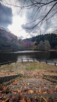 落ち葉の積もる階段と秋の池の風景 階段,石段,段差の写真素材