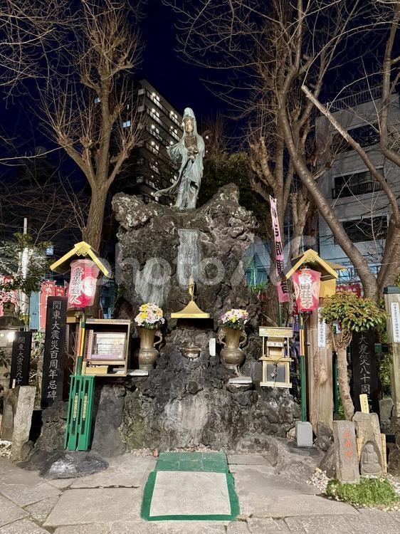 夜の新吉原花園池跡　 夜,夜景,ライトアップの写真素材