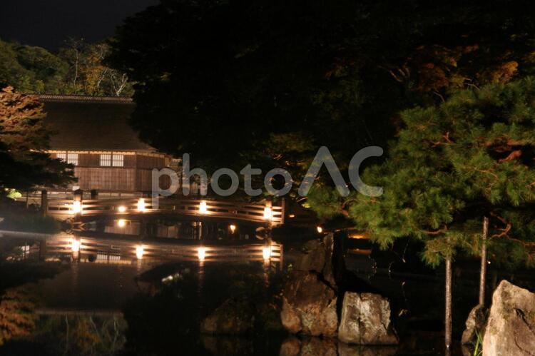紅葉の玄宮園ライトアップ 玄宮園,秋の玄宮園,紅葉の写真素材