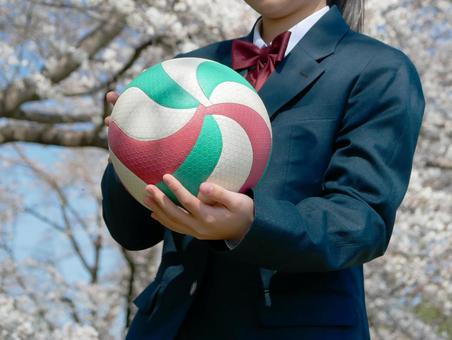 女子バレーボール部 女子バレーボール部の写真