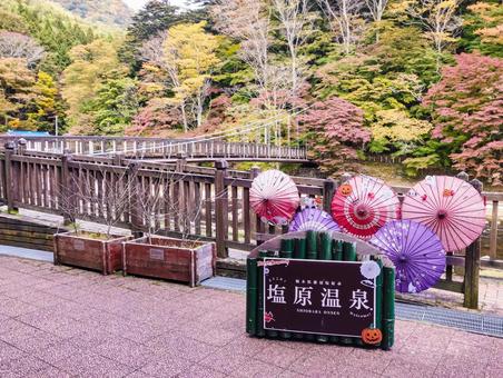 塩原温泉の紅の秋 塩原温泉,紅葉,10月の写真素材