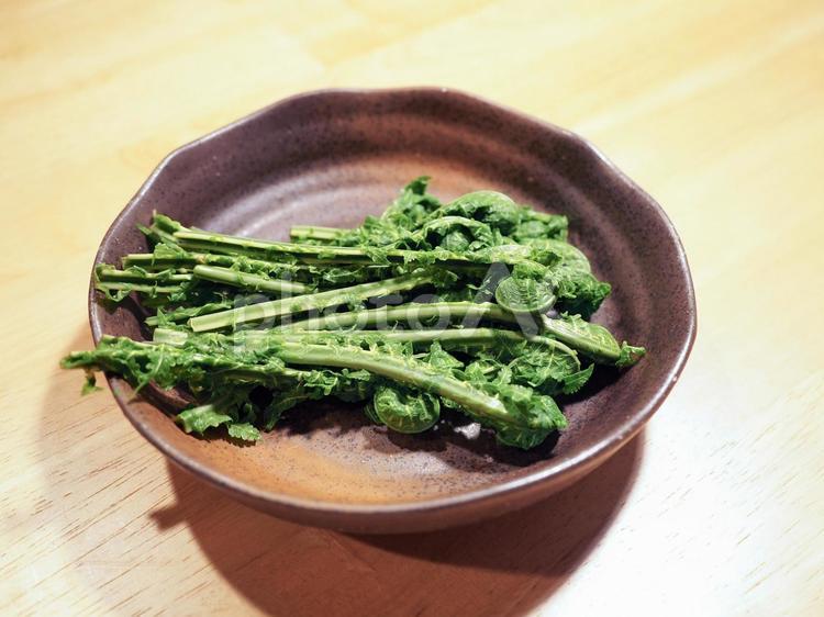 美味しそうな山菜　こごみのアップ コゴミ,こごみ,山菜の写真素材