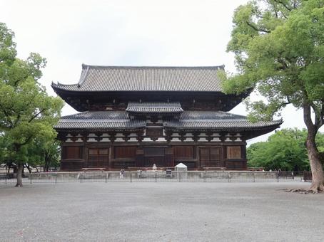 京都 東寺 金堂 京都 東寺 金堂 京都,東寺,金堂の写真素材