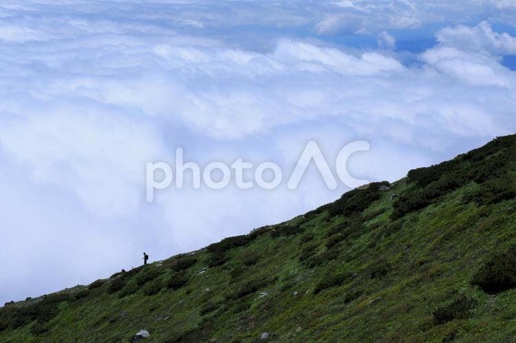 大雲海と稜線 景色,山,自然の写真素材