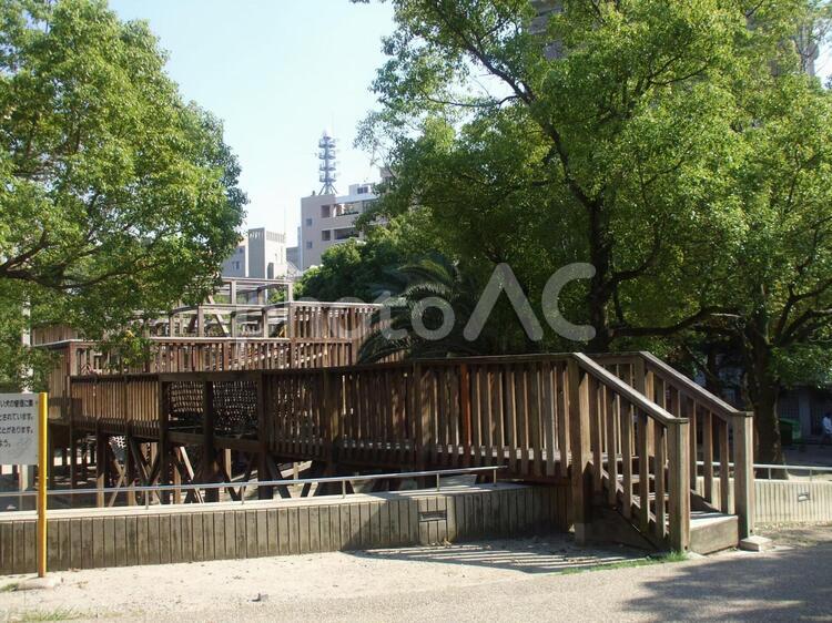 公園の風景3 公園,風景,木々の写真素材