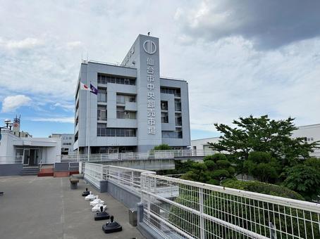 25_1119_仙台市中央卸売市場07 宮城県,仙台市,仙台市中央卸売市場の写真素材