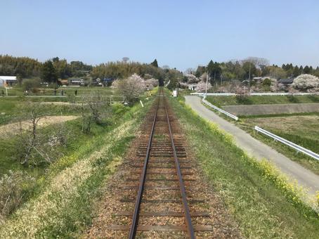 線路 線路,桜,大多喜駅の写真素材