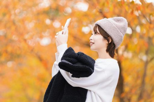 スマホで紅葉の写真を撮る女性 スマホで紅葉の写真を撮る女性 女性,秋,紅葉の写真素材