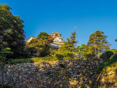 【高知県】高知市・高知城 高知城,高知公園,天守閣の写真素材