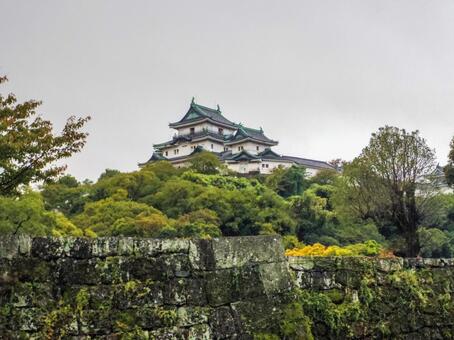 【和歌山県】和歌山市・和歌山城 和歌山城,和歌山市,和歌山県の写真素材