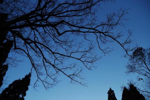 濃紺の空 濃紺の空 空,広大,風景の写真素材