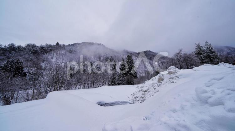 ゆきげしき 白川郷,世界遺産,世界文化遺産の写真素材