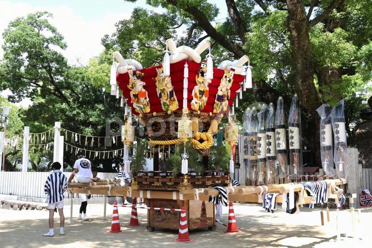 石切劔箭神社の夏季大祭の太鼓台（神輿） 石切劔箭神社,石切神社,夏季大祭の写真素材