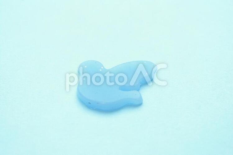 青い鳥のイメージ　背景素材 青い鳥のイメージ,青い鳥,イメージの写真素材