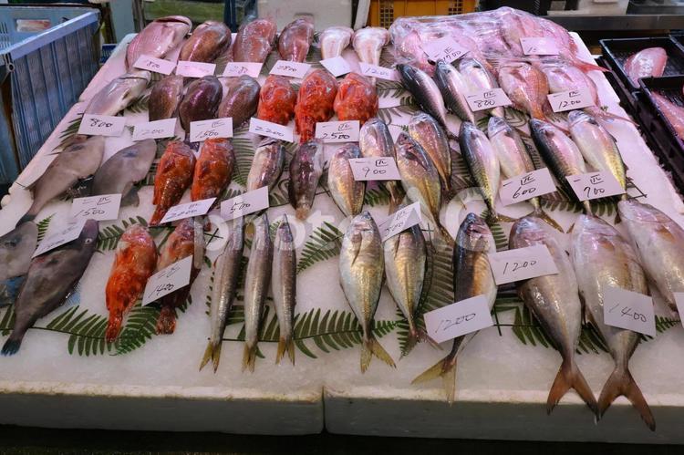 魚市場・海鮮市場3 魚市場,市場,魚の写真素材