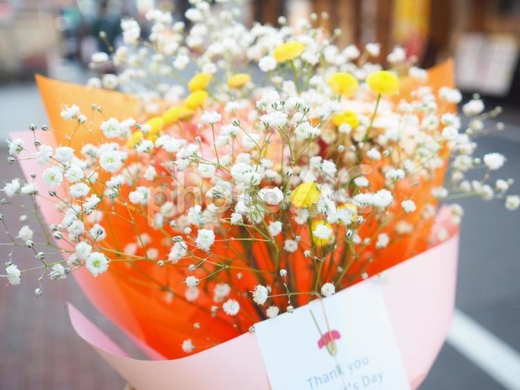 かわいい色の母の日カーネーション 花,花束,ブーケの写真素材